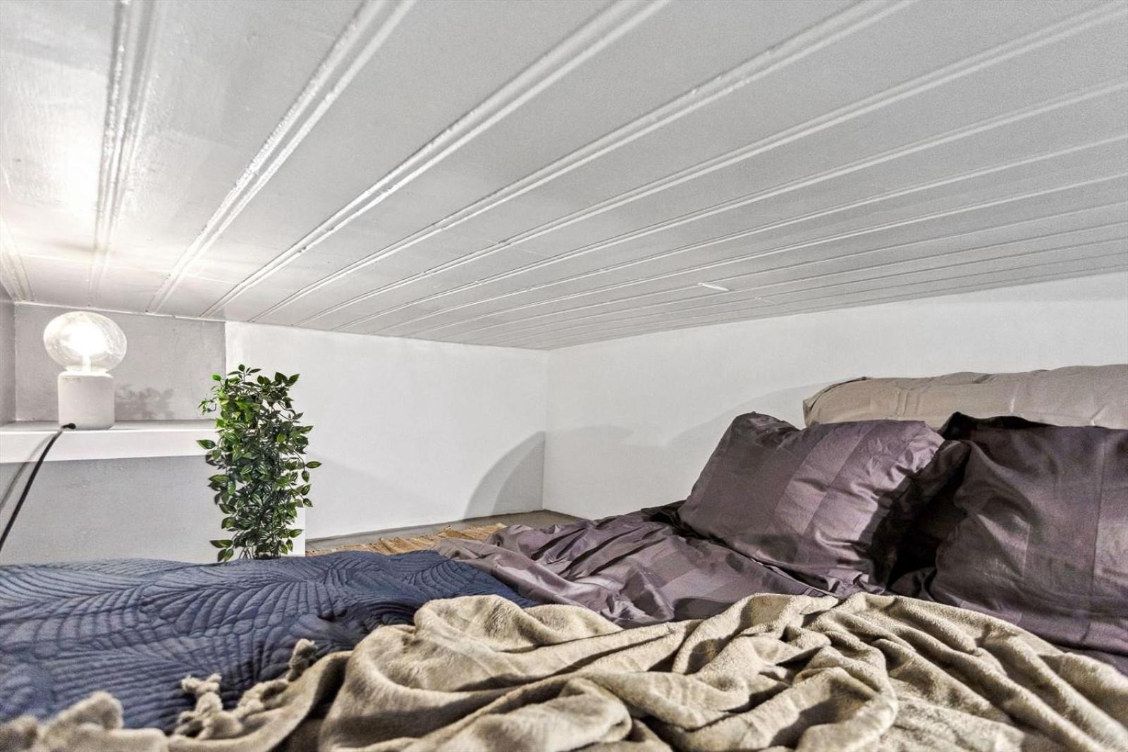 Cozy Room In Central Oslo Grunerlokka Happy Days المظهر الخارجي الصورة